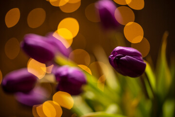 tulips flowers background