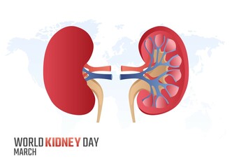 vector graphic of world kidney day good for world kidney day celebration. flat design. flyer design.flat illustration.