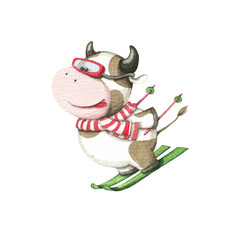 Fototapeta premium Bull skier in a red and white scarf rides down the mountain on green skis