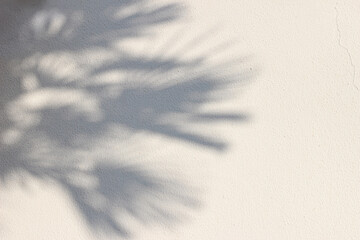 Palm tree shadows on beige concrete rough textured background. Dark silhouette of the exotic leaves...