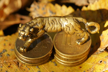 Metal tiger figurine with coins on the background of autumn leaves.