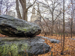 Central Park in winter