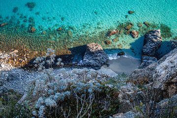 coral reef in the ocean