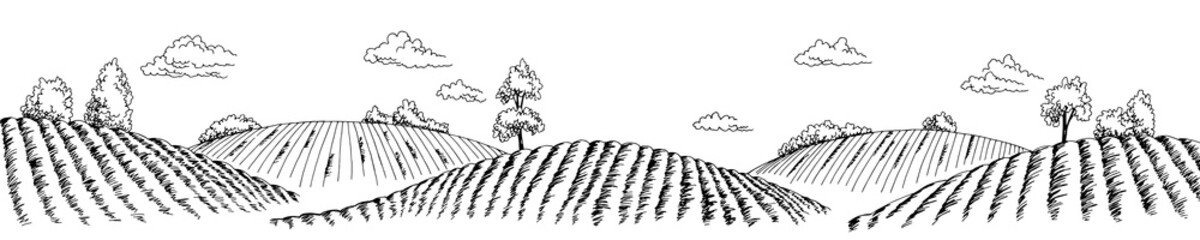 Field graphic black white long landscape sketch illustration vector  - obrazy, fototapety, plakaty