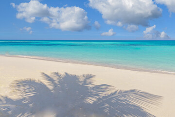 Paradise beach sunny white sand and coco palms leaves shadows. Summer vacation landscape, tropical...