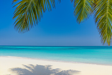 Summer beach landscape. tropical island shore, coast with palm tree leaves. Amazing blue sea...
