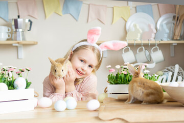 .Easter little girl with rabbit ears holds 2 live rabbits in her hands laughs and looks at the...