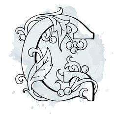 Letters G Drop Caps. Vector hand-drawing letter. Fabulous ornament with a berries. Black outline. Transparent background.