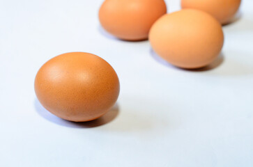 fresh chicken eggs on a white background isolated