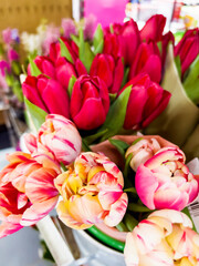 Beautiful red tulips bouquets  in flowers  shop