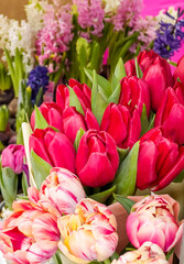 Beautiful red tulips bouquets  in flowers  shop