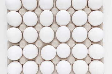 Fresh raw 30 pack of large white eggs in cardboard on white background. Consumerism, egg production, organic healthy bio product and Easter holiday concept. Top view of thirty eggs