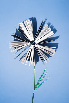 Old books and pencils on bright blue background. Education, knowledge or Nature concept. Flat lay.