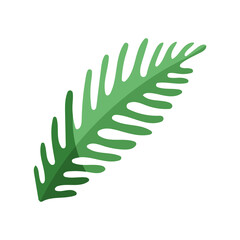 Fototapeta premium tropical leaf palm