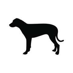Dog icon. animal sign. vector illustration