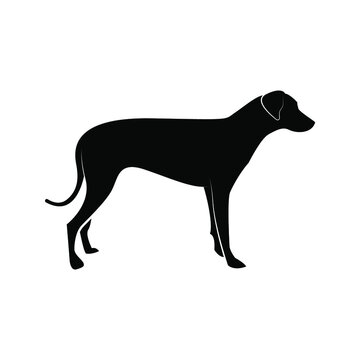 Dog icon. animal sign. vector illustration