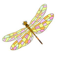 Insects. Color image of a dragonfly. Vector drawing. Isolated background.