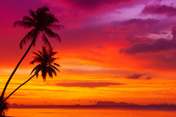 Coconut palm trees on tropical island beach at sunset - 489864216