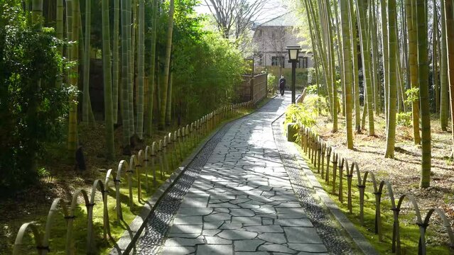 修善寺竹林の小径