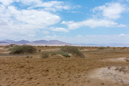 landscape in the desert, Nabq Protected Area