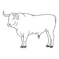 angry bull or buffalo matador