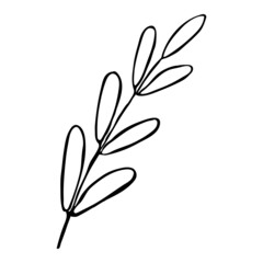 Plant Outline Illustration Isolated on white background
