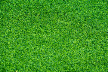 Green grass background, football field