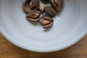White Bowl with Several Hickory Nuts and Shells