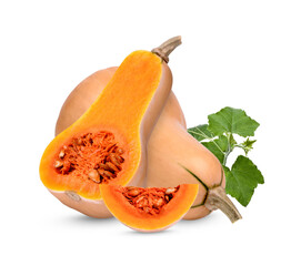 Butternut squash with leaves isolated on white background