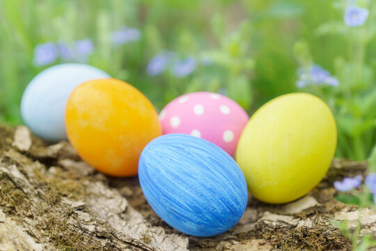 Easter eggs on fresh green grass, low shallow focus, close-up