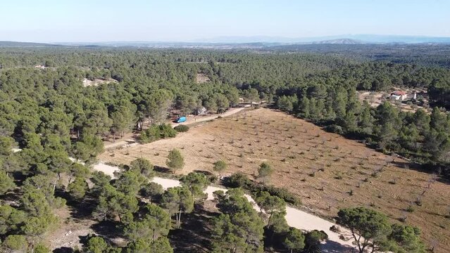 Aerial views forest in Spain