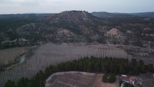 Aerial views forest in Spain