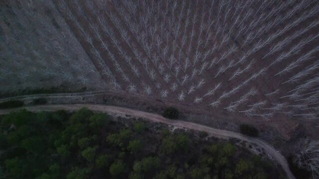 Aerial views forest in Spain