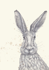Hand drawn rabbit. Sketch, monochrome illustration on a light background with splashes of coffee