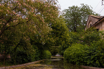 Beautiful town landscape, early autumn trees and bushes after heavy rain, reflection in puddles on pavement. Weather changes, after thunderstorm concept.