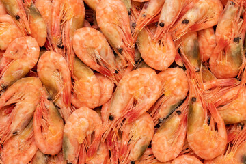 Shrimps, prawn, crustaceans at a fish market. Shrimps background texture. Cooked shrimps