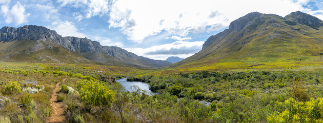 Fynbos landscape with stream in Kogelberg Nature reserve in South Africa