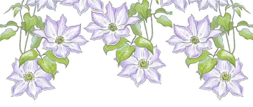 鉄線花 の画像 10 913 件の Stock 写真 ベクターおよびビデオ Adobe Stock