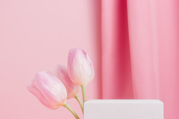 White cube podium with tulips flowers on pink background, spring concept, display for products,...