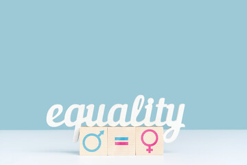 The concept of gender equality and equal pay. The word equality is on three wooden cubes with gender symbols of a man and a woman and an equal sign between them. Blue background, copy space - obrazy, fototapety, plakaty