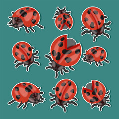 Fototapeta premium Set of stickers of ladybugs in the background.