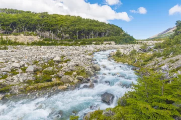 Foto op Plexiglas Mountain brook in the national park Los Glaciares © Fyle