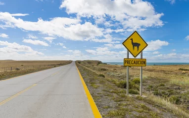 Rolgordijnen Sign of Lama warning near Chilean road © Fyle