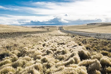 Rolgordijnen Road in endless Patagonia plains © Fyle