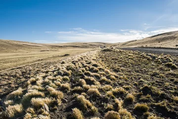 Rolgordijnen Road in endless Patagonia plains © Fyle