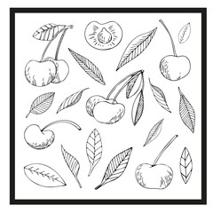 Cherry black and white vector illustration set. For all your designs and decors. Suitable for making patterns, postcards, labels, packaging, covers and more.