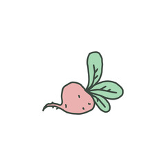 Radish hand drawn cartoon icon doodle style vector illustration isolated.