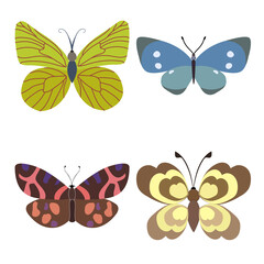 Set of outline silhouette insect butterflies
