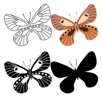 Set of outline silhouette insect butterflies