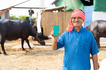 Smiling indian milk dairy farmer showing green card mobile phone by looking at camera in front of...